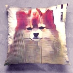 Fraido the Pomeranian